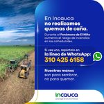 Incauca recuerda la importancia de prevenir y denunciar incendios